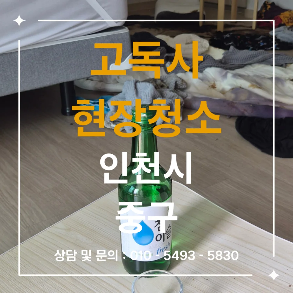 인천시 중구 인천시 고독사 청소 대표 썸네일
