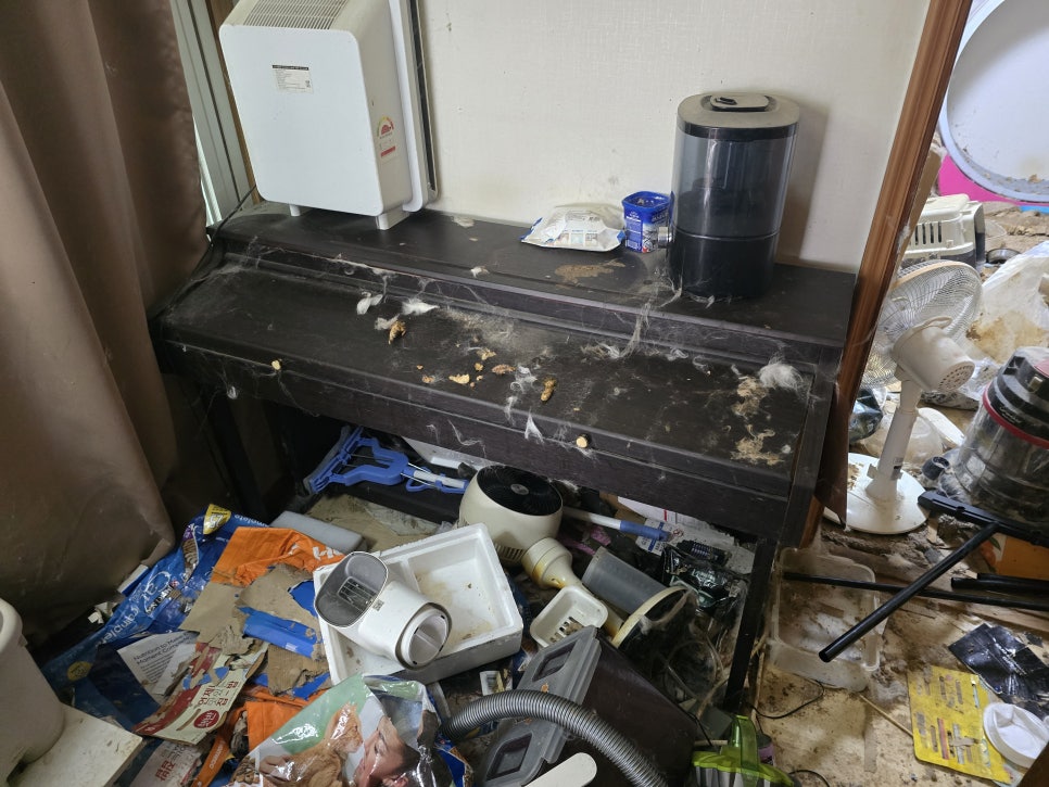 인천 미추홀구 집 쓰레기 청소 현장 작업 사진 5