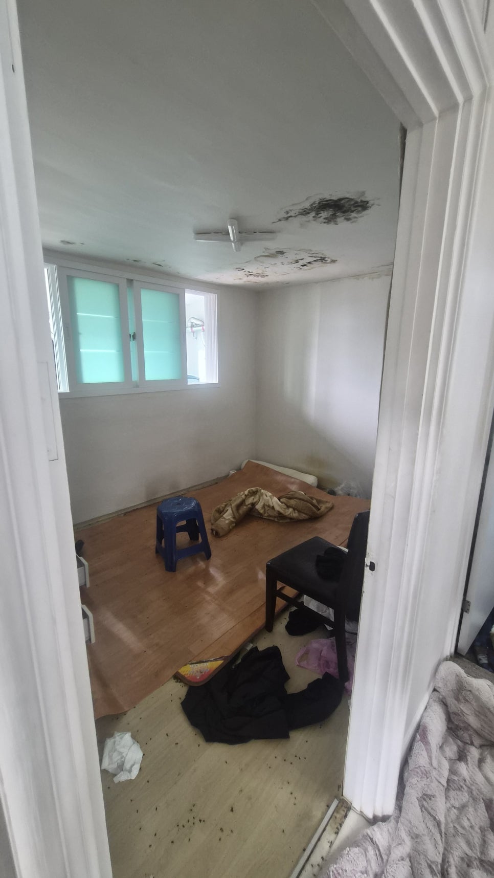 인천 남동구 고독사 청소 현장 작업 사진 4