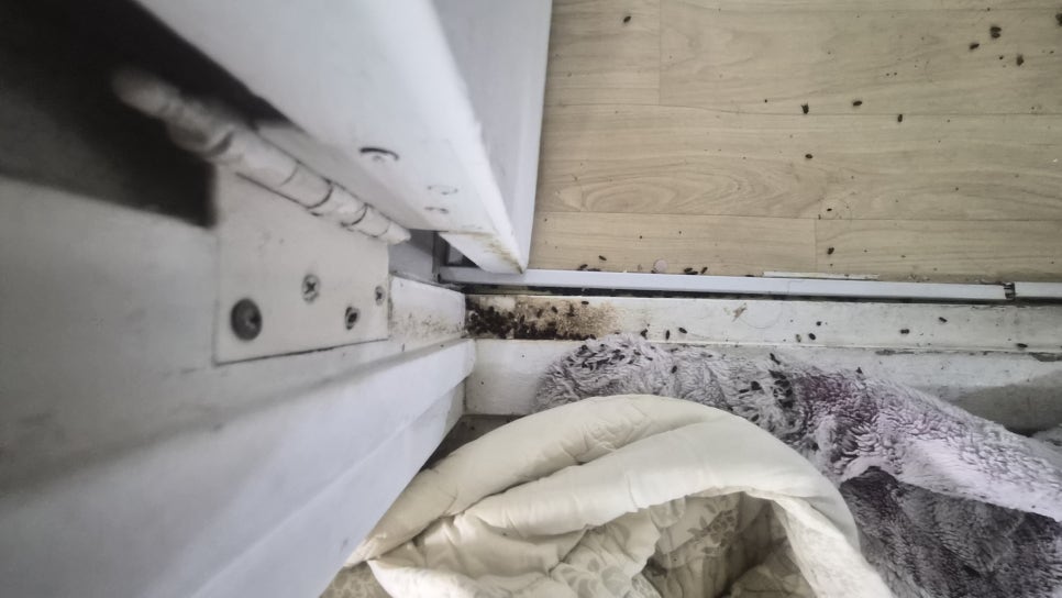 인천 남동구 고독사 청소 현장 작업 사진 9