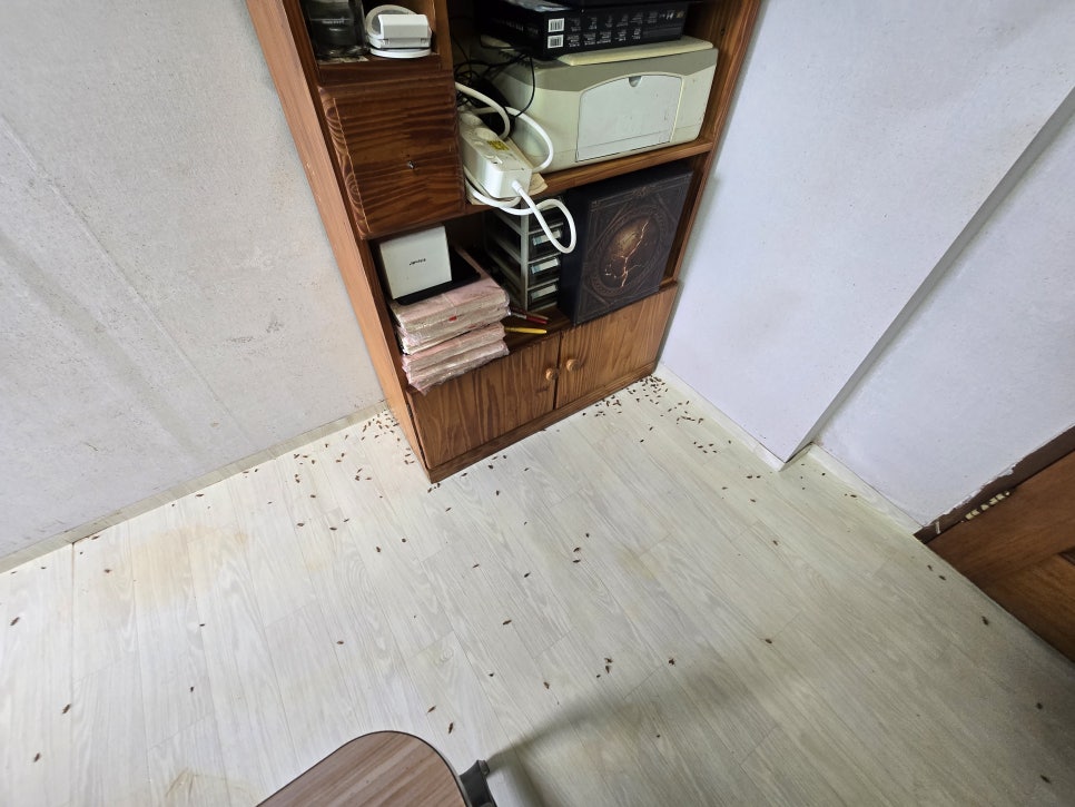 수원 권선구 집 쓰레기 청소 현장 작업 사진 10